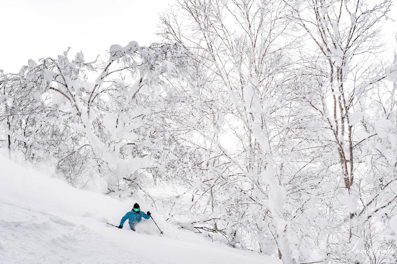 ルスツリゾート　2日間の吹雪の後の青空。たっぷり新雪が降り積もった樹氷林の中を滑る！